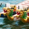 drakenbootrace mechelen