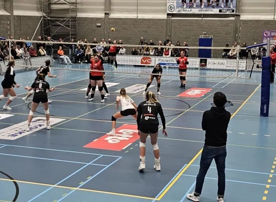 Volleybal Noorderkempen Vosselaar Geel