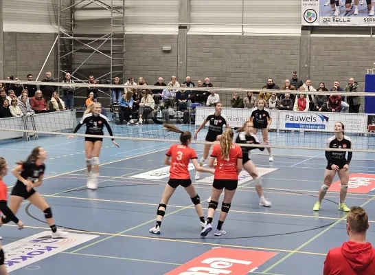 Volleybal Noorderkempen Vosselaar Geel