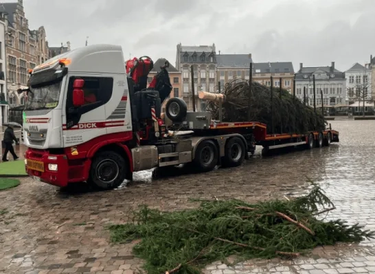 nieuwe kerstboom op Grote Markt Lier