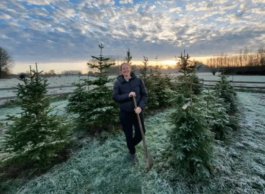 kerstbomen overwinteren Paard&Bloem