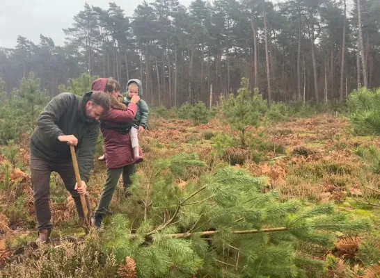 Natuurpunt Herentals kerstboom den