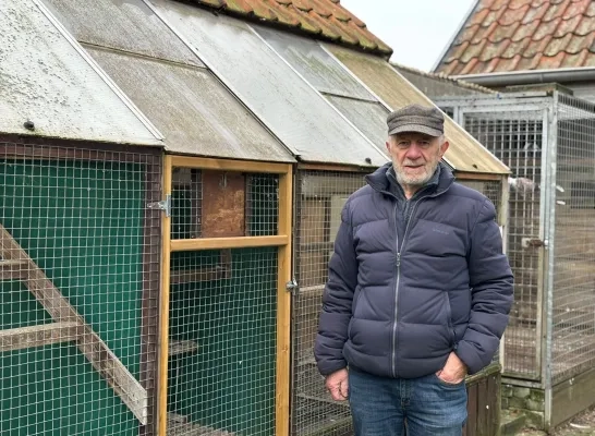 Jos Cools is er het hart van in, diefstal prijsduiven