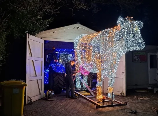 Koe tractorrun kersttractorrun kerst