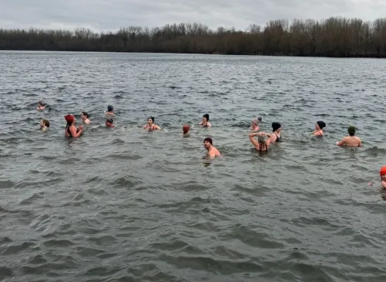 ijsberen Put van Hombeek Eglegemvijver