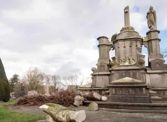 Kruisbeeld en ooievaarsnest vernield Muizen Mechelen