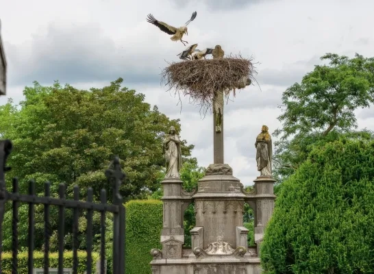 Kruisbeeld met ooievaarsnest op begraafplaats Muizen Mechelen