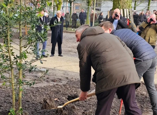 bomen abdijpark Bornem Oudenbosch