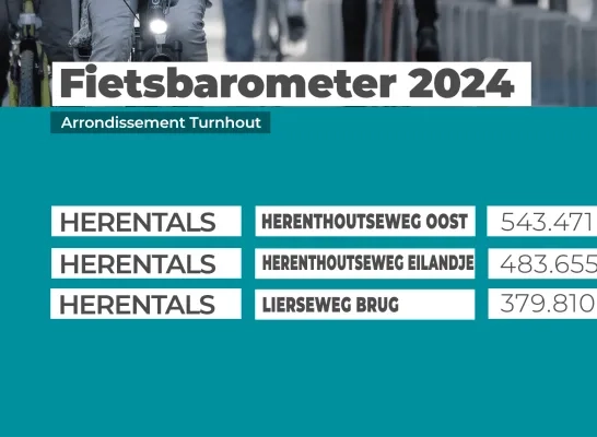 Fietsverkeer 2024 regio Turnhout