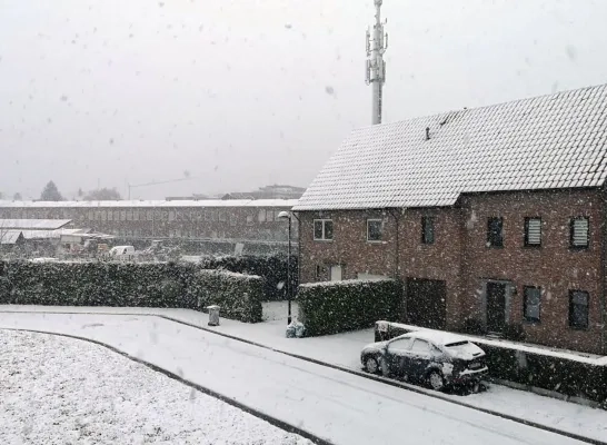 Sneeuw