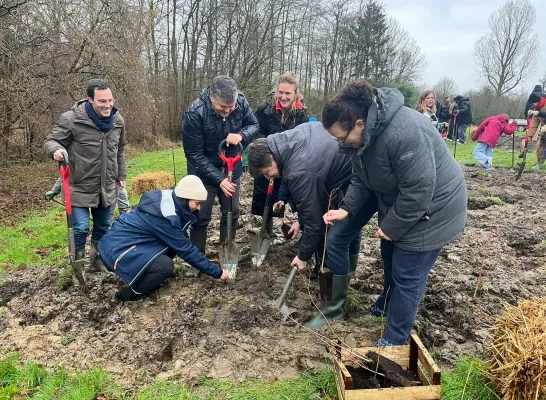 Learning Leaves bomen planten in scholen