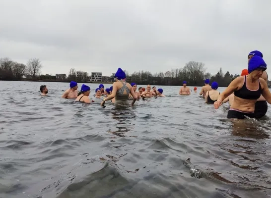 nieuwjaarsduik ijsberen Mechelen