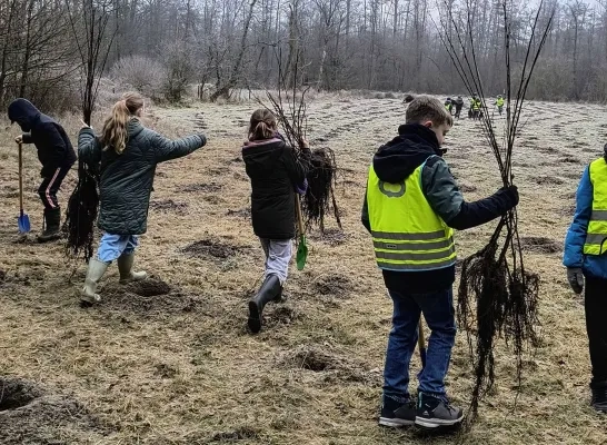 Kinderen planten bomen in Meerhout en Geel-Bel