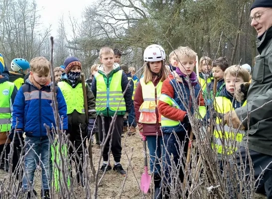 Kinderen planten bomen in Meerhout en Geel-Bel