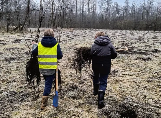 Kinderen planten bomen in Meerhout en Geel-Bel