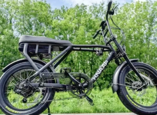 fatbike RTV