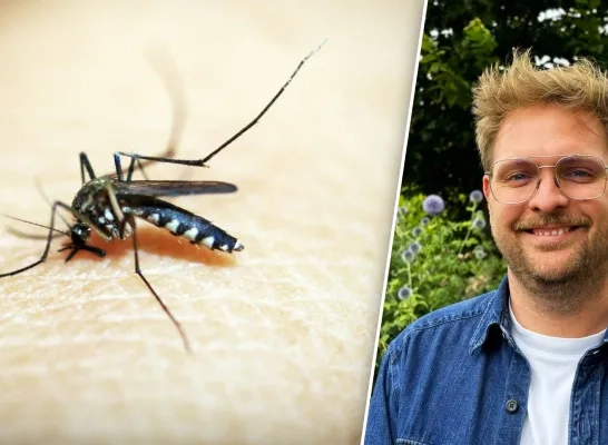Beeldmontage RTV - rechtenvrije stockfoto/Rik Brabants Beeldmontage RTV - rechtenvrije stockfoto/Rik Brabants