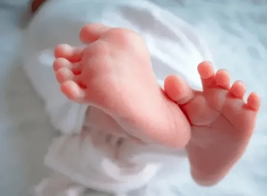 sterrenregister baby rechtenvrij.