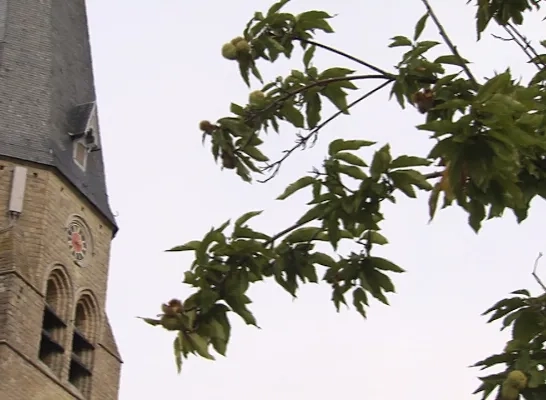 Bonheiden Veruit Rijkste Gemeente Van Arrondissement Mechelen ...