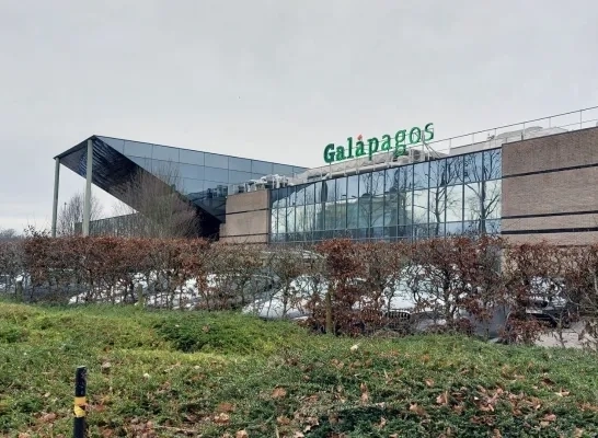 galapagos mechelen.jpg