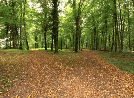 stad geel natuurbegraafplaats 