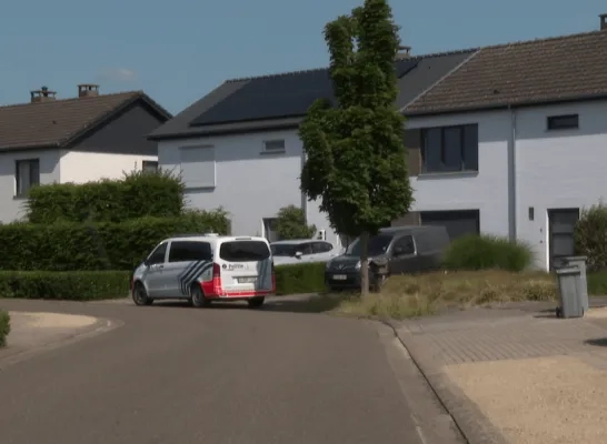 inbraak auto's Herenthout