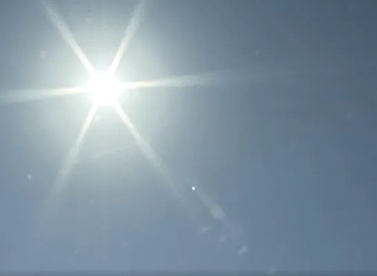 zon 
