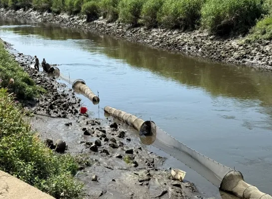 Onderzoek naar waterkwaliteit Zenne
