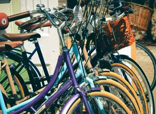 Puurs- St-Amands fietsen te koop