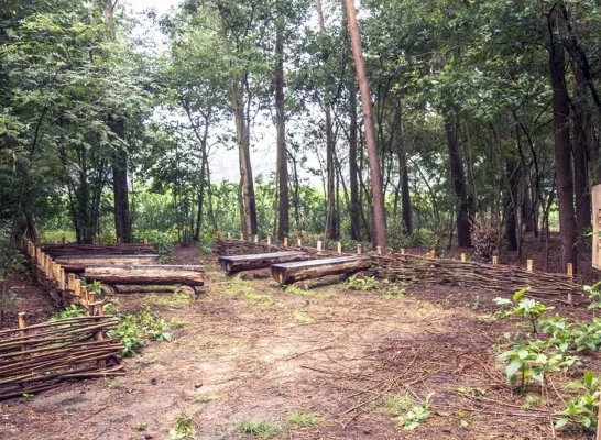 Natuurbegraafplaats Geel