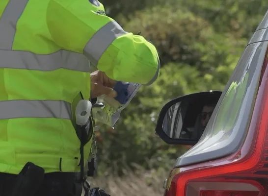 controle politie 