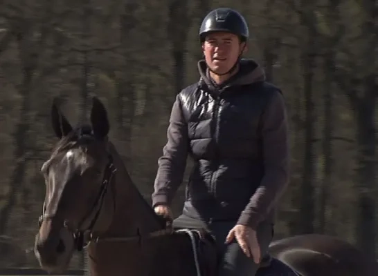 Jos Verlooy ruiter jumping