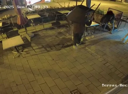 terras asian kitchen