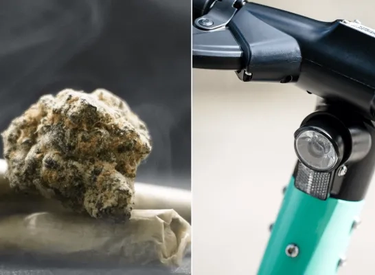 cannabis step drugsvangst