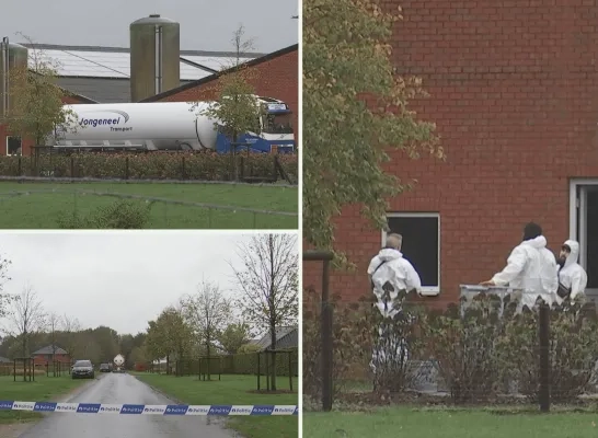 Vogelgriep in bedrijf in Weelde