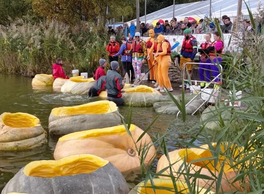 Pompoenregatta in Kasterlee