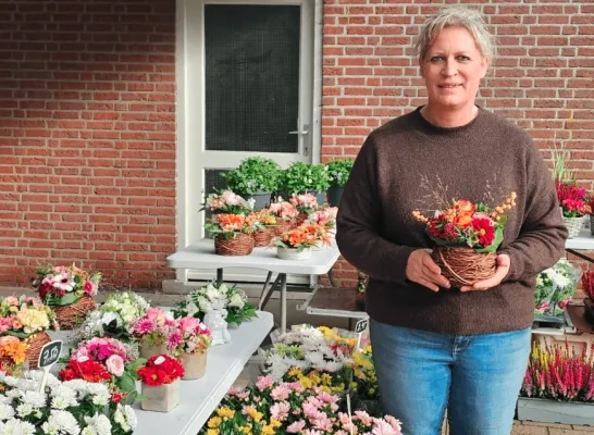 chrysanten aan kerkhof Geel