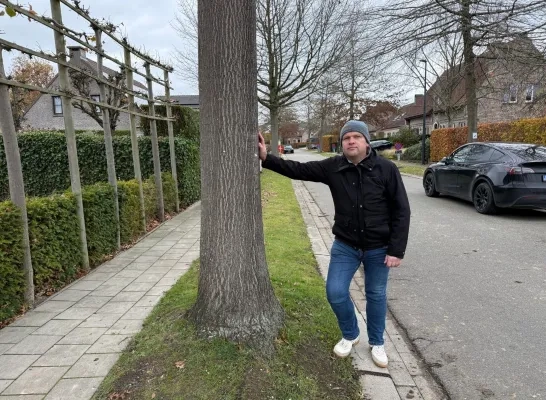 Bomenkap verdeelt woonwijken