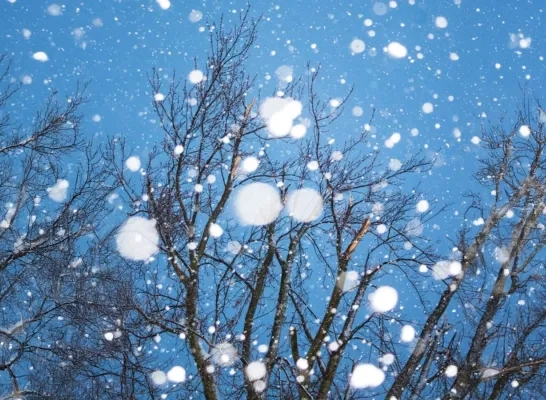 Winterprik op komst: sneeuw en ijsdagen sluiten kerstvakantie af