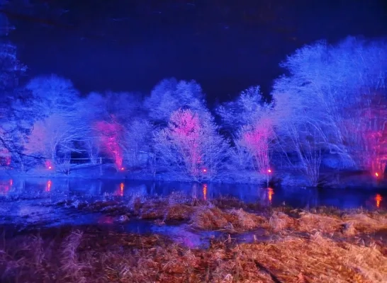 winterwandeling