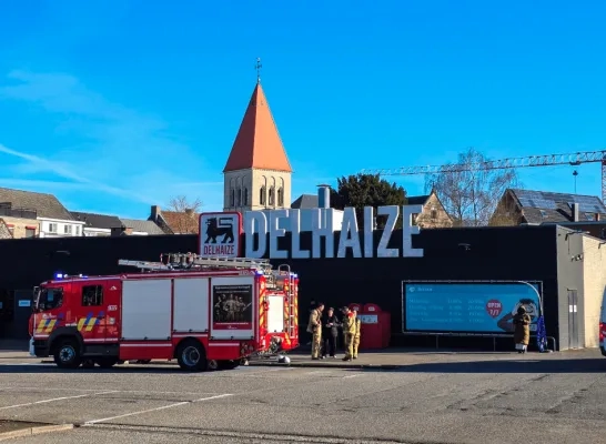 delhaize berlaar