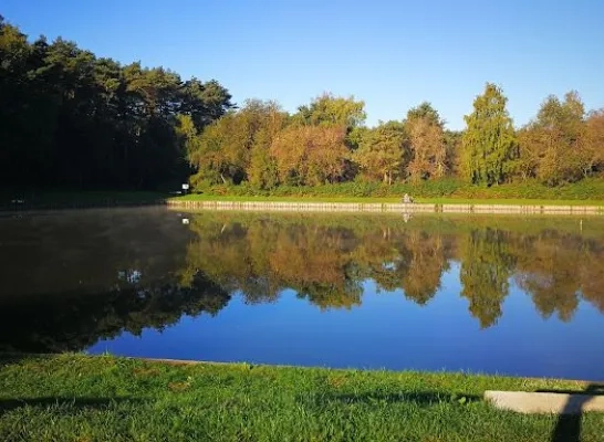 't gewad visvijver meerhout