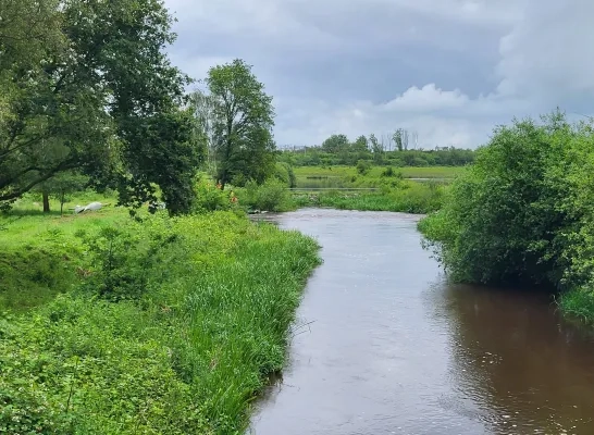 20 jongeren belandden tijdens een kajaktocht in het water in Herentals