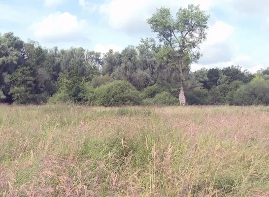 Zennebeemdenbos Plopsaqua Mechelen