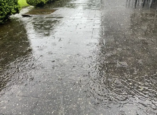 Overvloedige regen in de Kempen