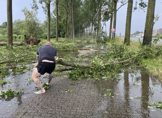 Boom op baan storm Tisselt