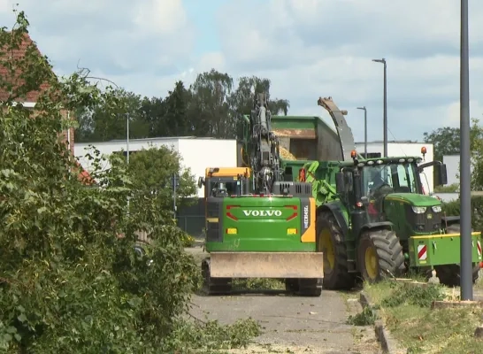 Stormschade Fonteinstraat Willebroek