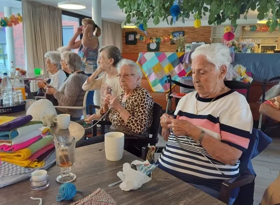 senioren perwijshof zoerle-parwijs breien breiclub