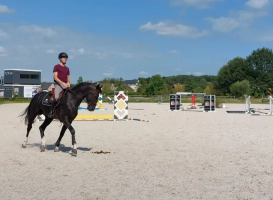 Thibeau Spits Sint-Katelijne-Waver paardensport ruiter