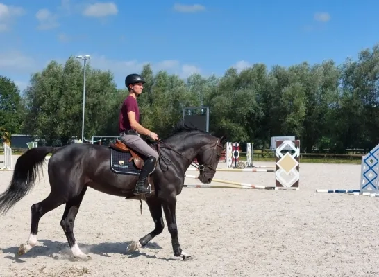 Thibeau Spits Sint-Katelijne-Waver paardensport ruiter